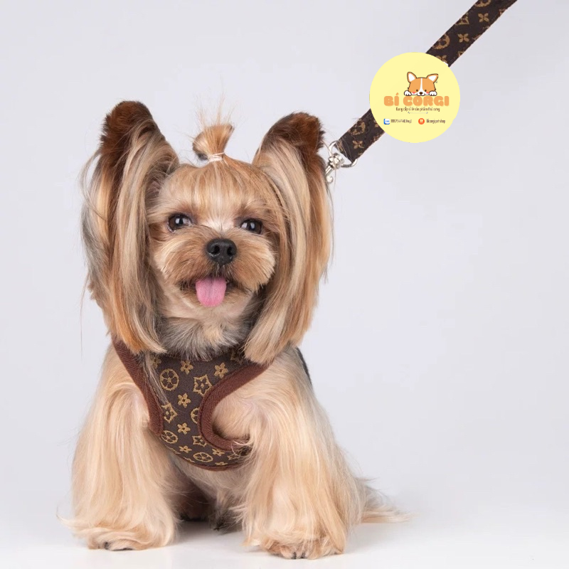 Dây dắt chó mèo đi dạo, dây nịt ngực cho thú cưng LUXURY, lưới ngực lưng thoáng khí