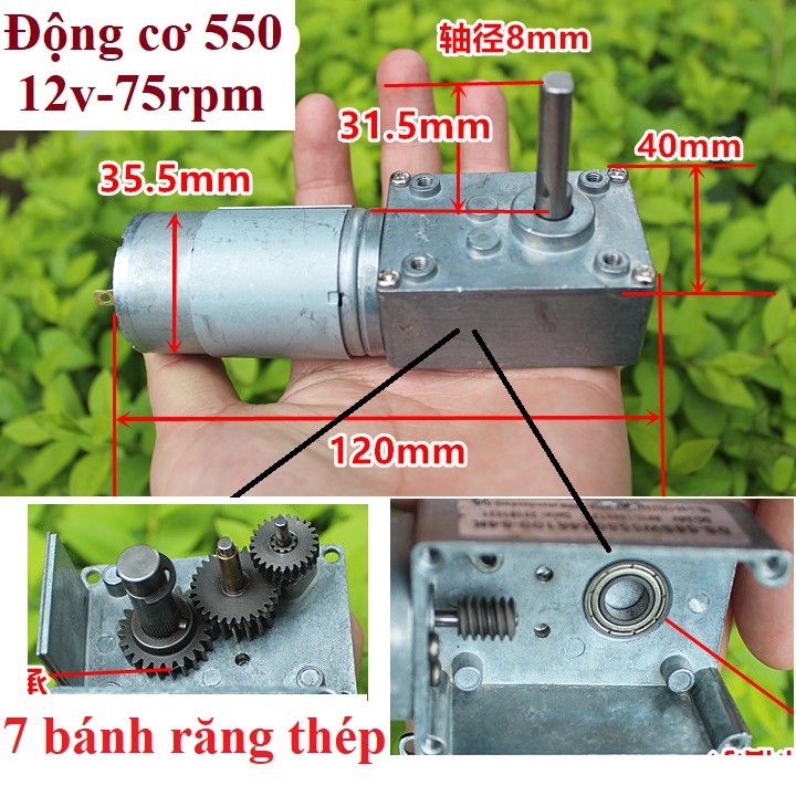 Động cơ giảm tốc cỡ trung Motor 550, 775