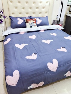SET CHĂN GA GỐI COTTON LỤA DEMI