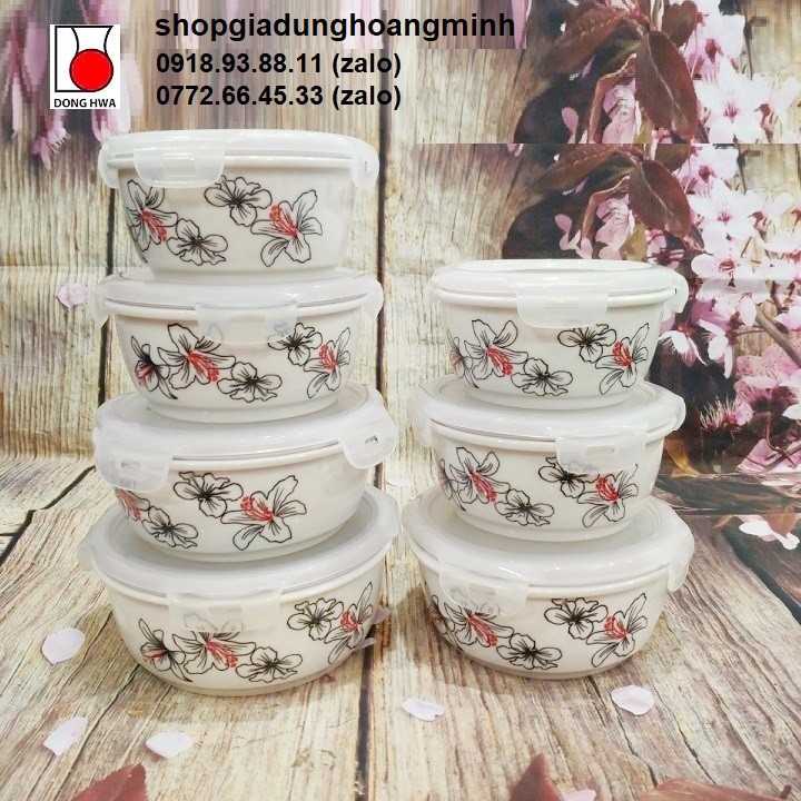 Hộp đựng cơm văn phòng - hộp đựng cơm
