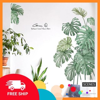 ⚡️𝗙𝗥𝗘𝗘𝗦𝗛𝗜𝗣⚡️ Decal dán tường Lá bách thảo