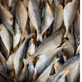 1kg Khô cá nục mặn ngon