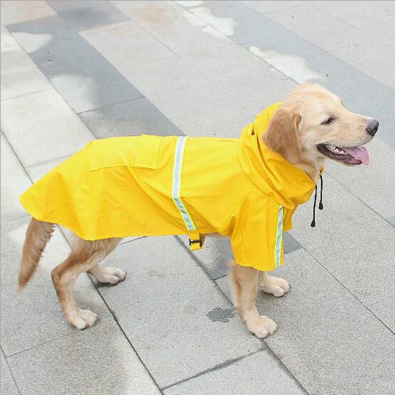 Áo mưa cho chó bông không thấm nước lớn choàng poncho săn vàng Labrador vừa cưng quần