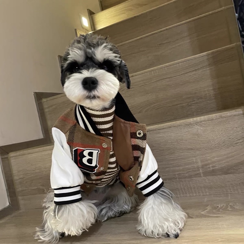 ÁO KHOÁC VARSITY BBR cho chó mèo