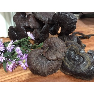 100gr nấm Linh Chi rừng ( thiên nhiên)