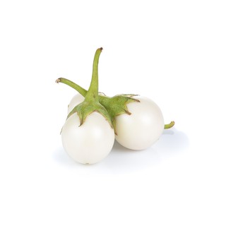 Hạt Giống Cà Pháo Trắng Năng Suất Cao