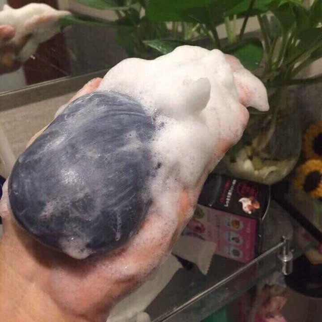 XÀ PHÒNG GIẢM THÂM NÁCH , KHUỶ TAY PELICAN | BigBuy360 - bigbuy360.vn