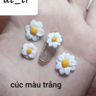 Hoa cúc nail