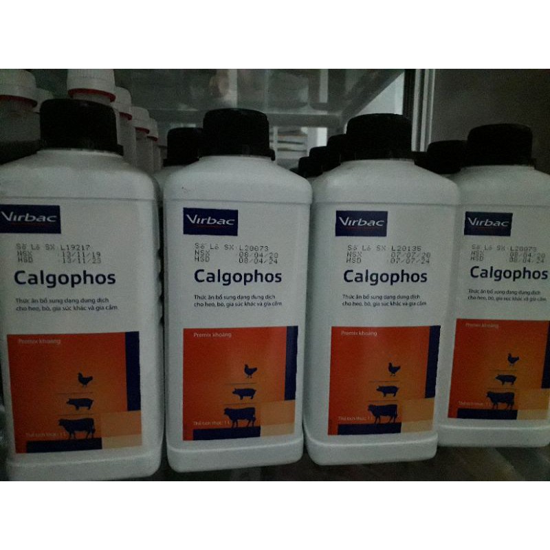 Calgophos lít. Calgophos Thức ăn bổ sung premix khoáng dạng dung dịch cho heo, bò, gia súc khác và gia cầm