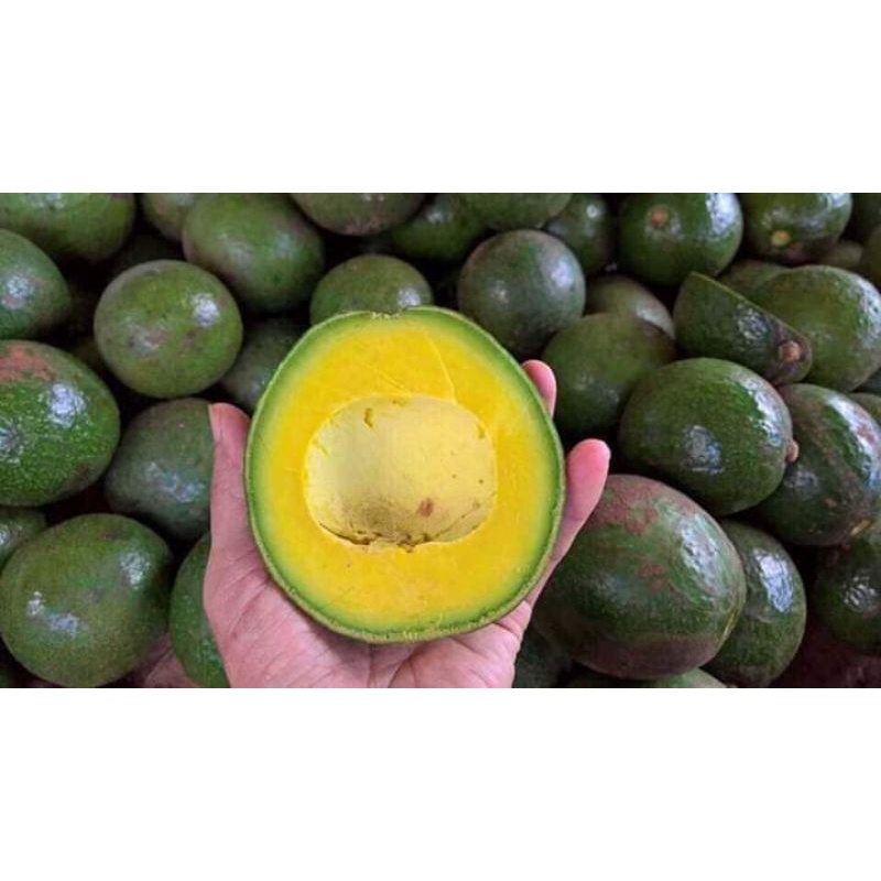 Combo 3kg 034 Lâm Đồng trái nhỏ