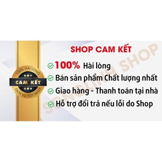 Set Quần áo hè nam Lv phối thân