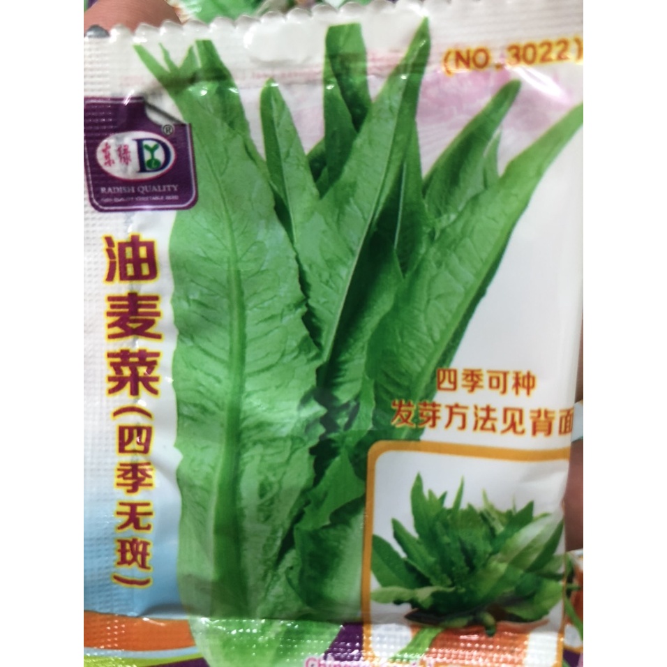 Hạt giống rau diếp thơm gói mini nhập khẩu đài loan hàng chính hãng nguyên bao bì