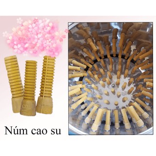 combo 50 cao su vặt lông gà