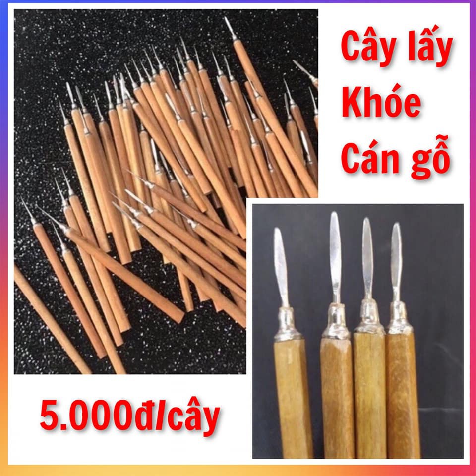 Cây Móc Khóe, Cây Lấy Khóe Cán Gỗ