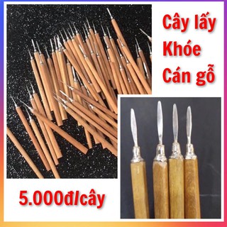 Cây móc khóe, cây lấy khóe cán gỗ