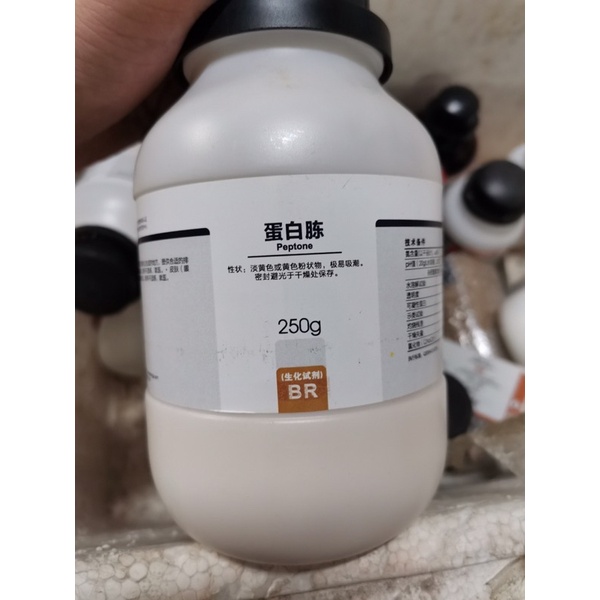 Peptone lọ 250g pepton CAS 73049-73-7 nuôi cấy vi sinh đông trùng hạ thảo