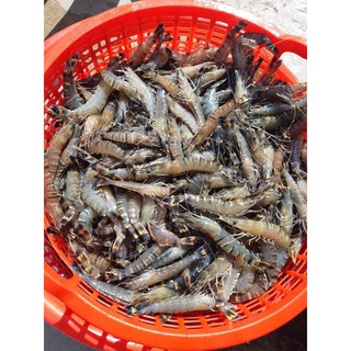 TÔM KHÔ SẤY 250 GRAM - TPS MẸ COOL