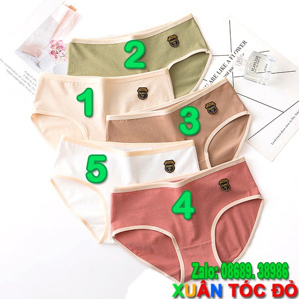SỈ ZALO RẺ HƠN NHIỀU_ Quần Lót Cotton Xịn Màu Lạ Mới 5056 (Vải Tốt, Đường May Đẹp) | BigBuy360 - bigbuy360.vn