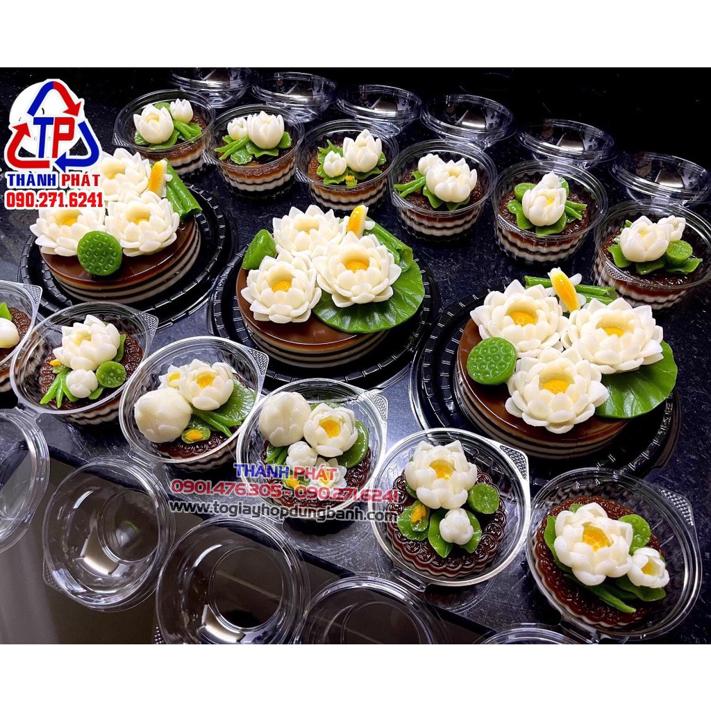 100 Hộp H163 đựng rau câu hoa nổi - bánh su kem tròn - dừa gọt sẵn- bánh bao