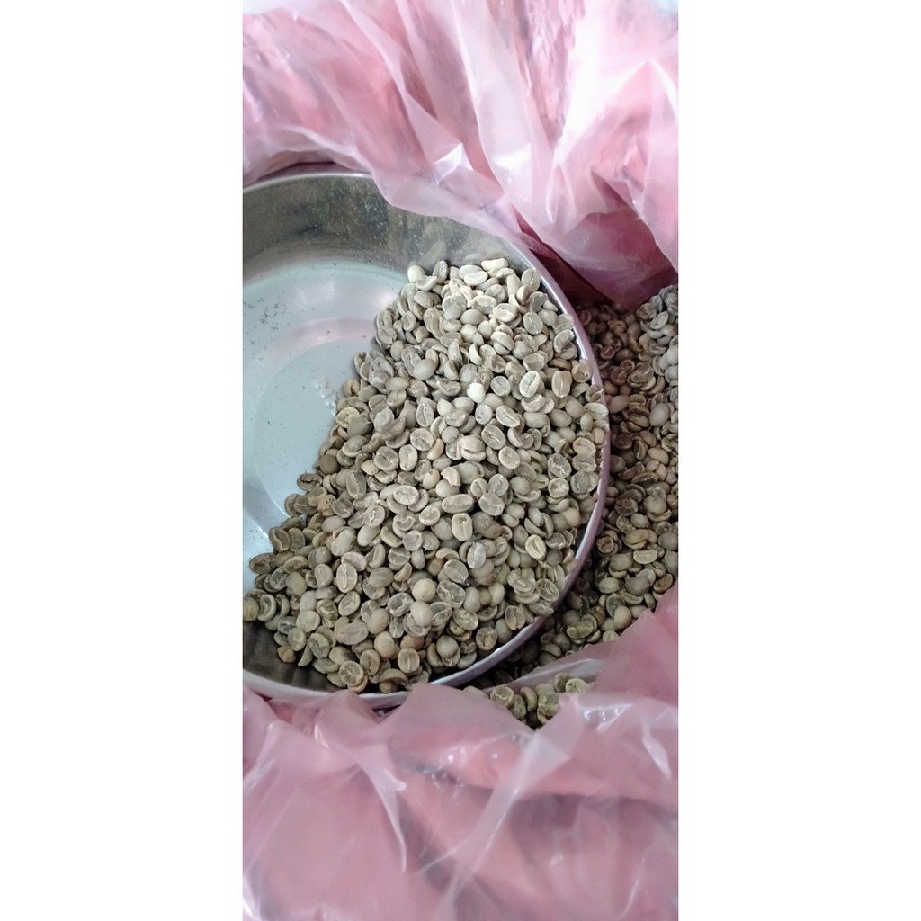 500 Gr Cà phê nguyên chất Robusta Đăk Lăk Loại 1 cà phê Minh Cường - Hạt rang mộc pha phin hoặc pha máy | BigBuy360 - bigbuy360.vn