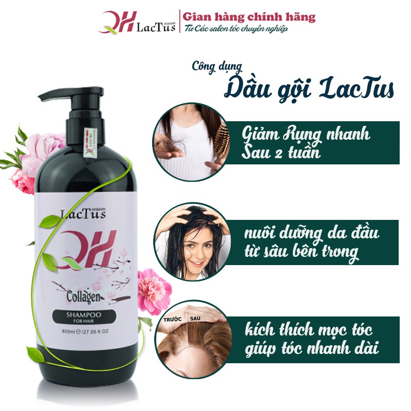 Lẻ Dầu gội đầu  QH lactus season giảm nhanh tóc gãy rụng, sạch sâu da đầu giảm gàu, dầu thừa 800ml