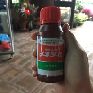 Thuốc kích rễ Nhật