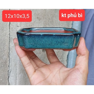 Chậu chữ nhật mini trồng cây bonsai nhỏ
