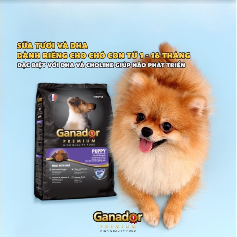 THỨC ĂN CHO CHÓ CON Ganador Puppy Vị Sữa và Dha Gói 400g Thương Hiệu Từ Pháp