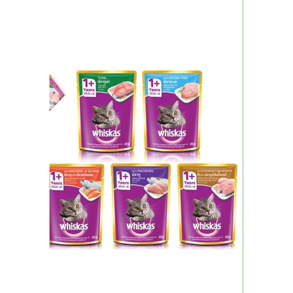 Combo 24 gói pate whiskas cho mèo