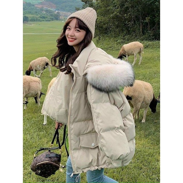 Áo phao béo Quảng Châu loại 1. | BigBuy360 - bigbuy360.vn