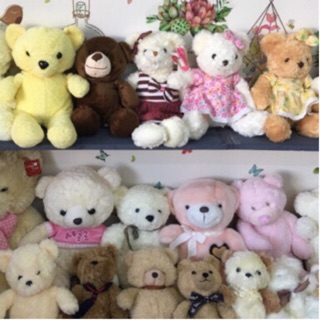 Lô gấu bông teddy 20 con