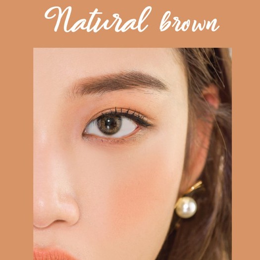 Lens mắt 1 ngày màu nâu tự nhiên cho mắt khô yếu - Rich Ann Natural Brown (1 cặp) | Ann365 lens