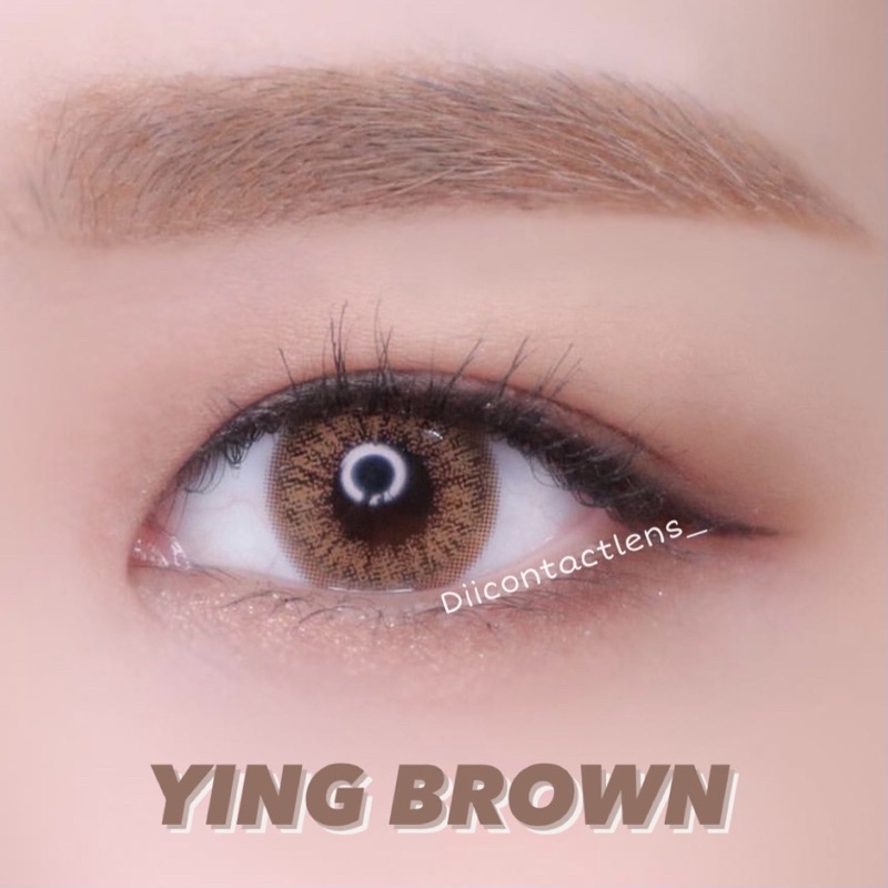 Kính áp tròng YING BROWN