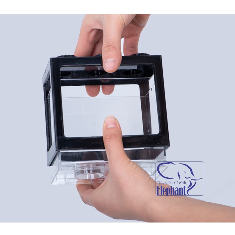 Keo hồ bể show nuôi cá betta bằng mica kích thước 12x10x8cm