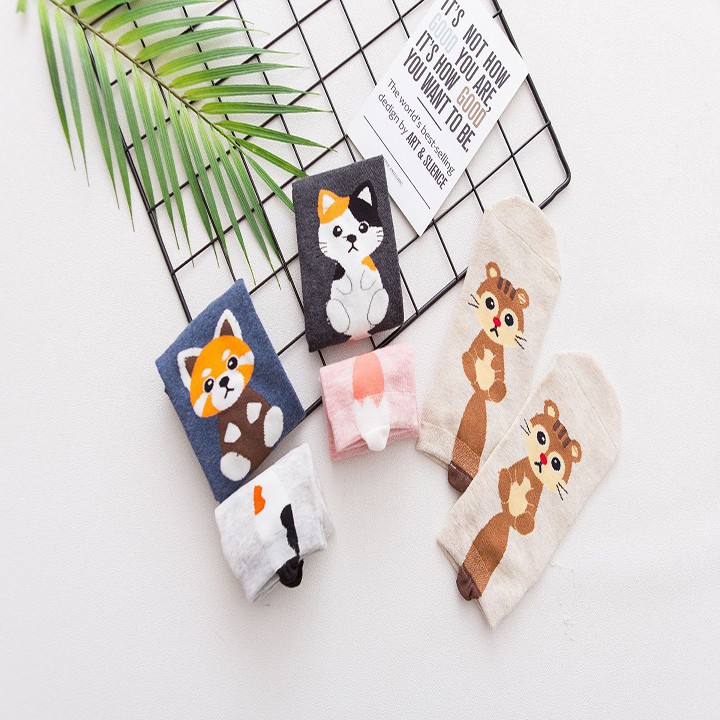 [siêu rẻ] Set 5 đôi tất nữ TG03 chất liệu bền, đẹp, dễ thương