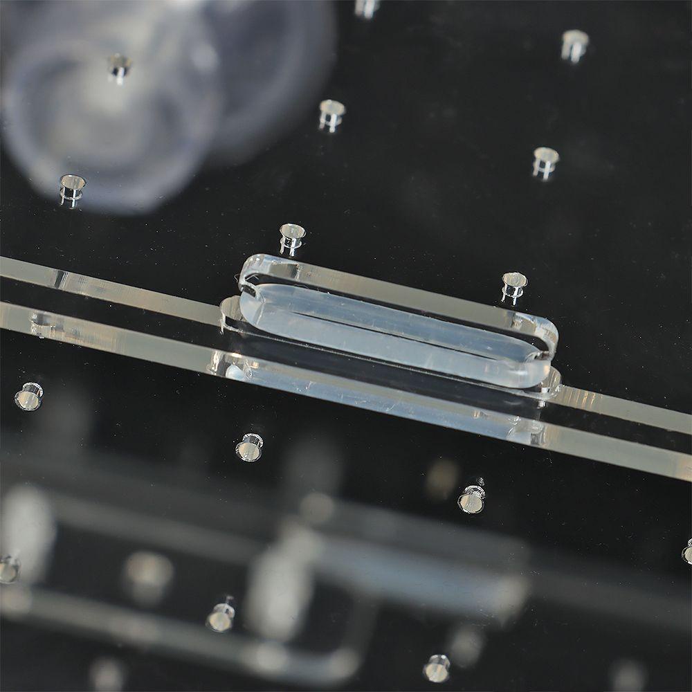 DORAW Hộp Nuôi Cá Cách Ly Tiện Lợi