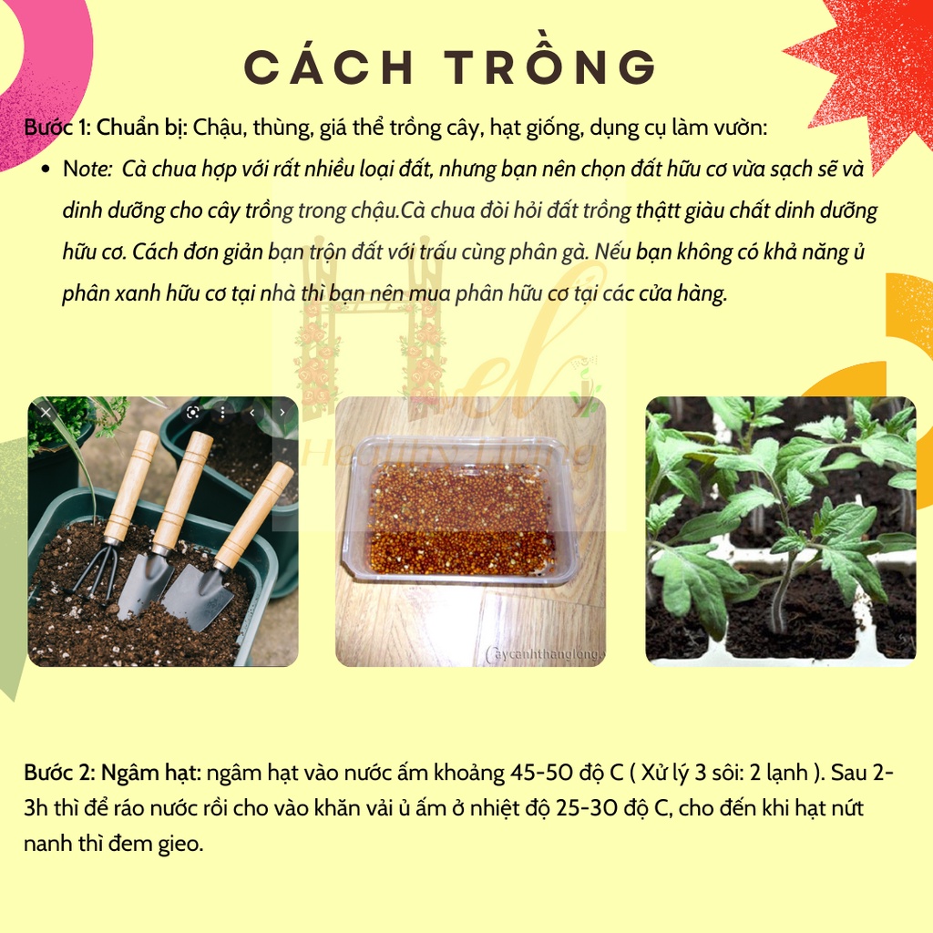 Hạt Giống Cà Chua Bi Đỏ Lùn Trồng Chậu - Trồng Hạt Giống Rau Củ Quả Bằng Đất Sạch, Xơ Dừa, Mùn Dừa Và Phân Bón Hữu Cơ