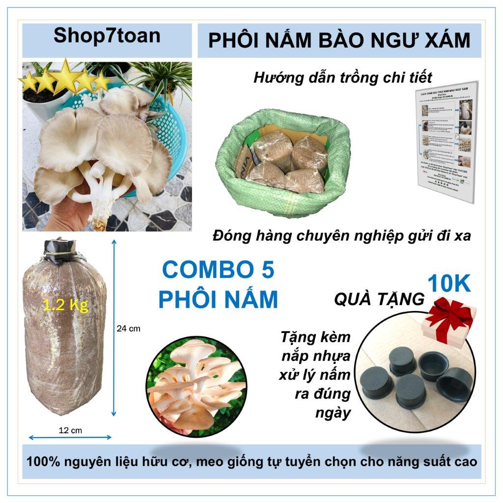 Combo 5 phôi nấm bào ngư từ trại giống (1.1~1.2kg/phôi)