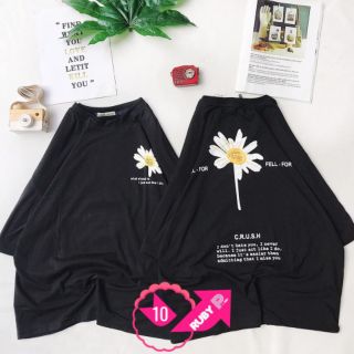 Áo thun cotton hoa cúc mẫu mới