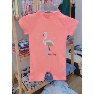 body các mẫu Te.x 0-3M