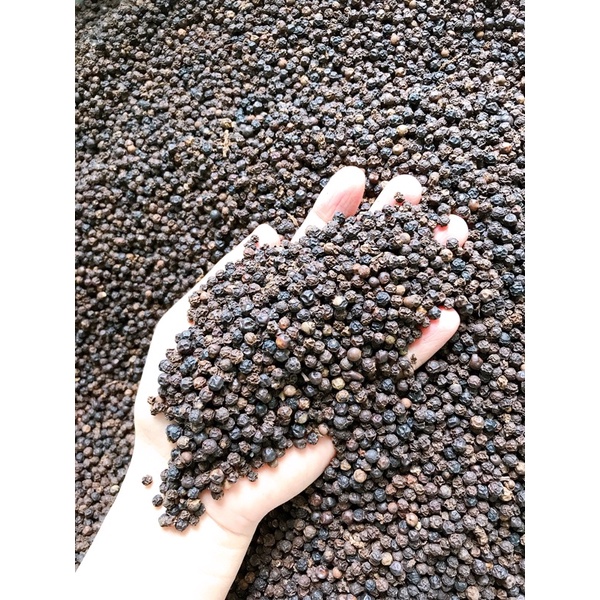 combo hạt tiêu đen (sỉ)