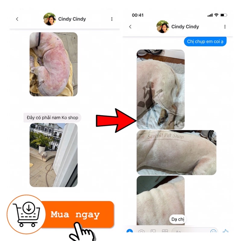Sáp loại bỏ Ve rận, Ghẻ dành cho thú cưng