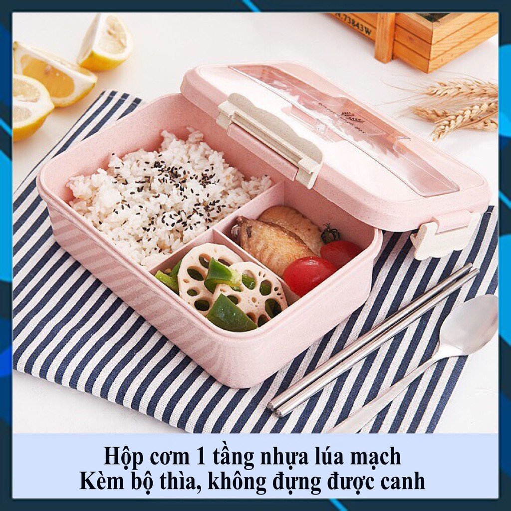 Tổng hợp Hộp cơm văn phòng |HC lúa mạch 2 tầng | giữ nhiệt 3 tầng| cắm điện hâm nóng| Thủy tinh 3 ngăn