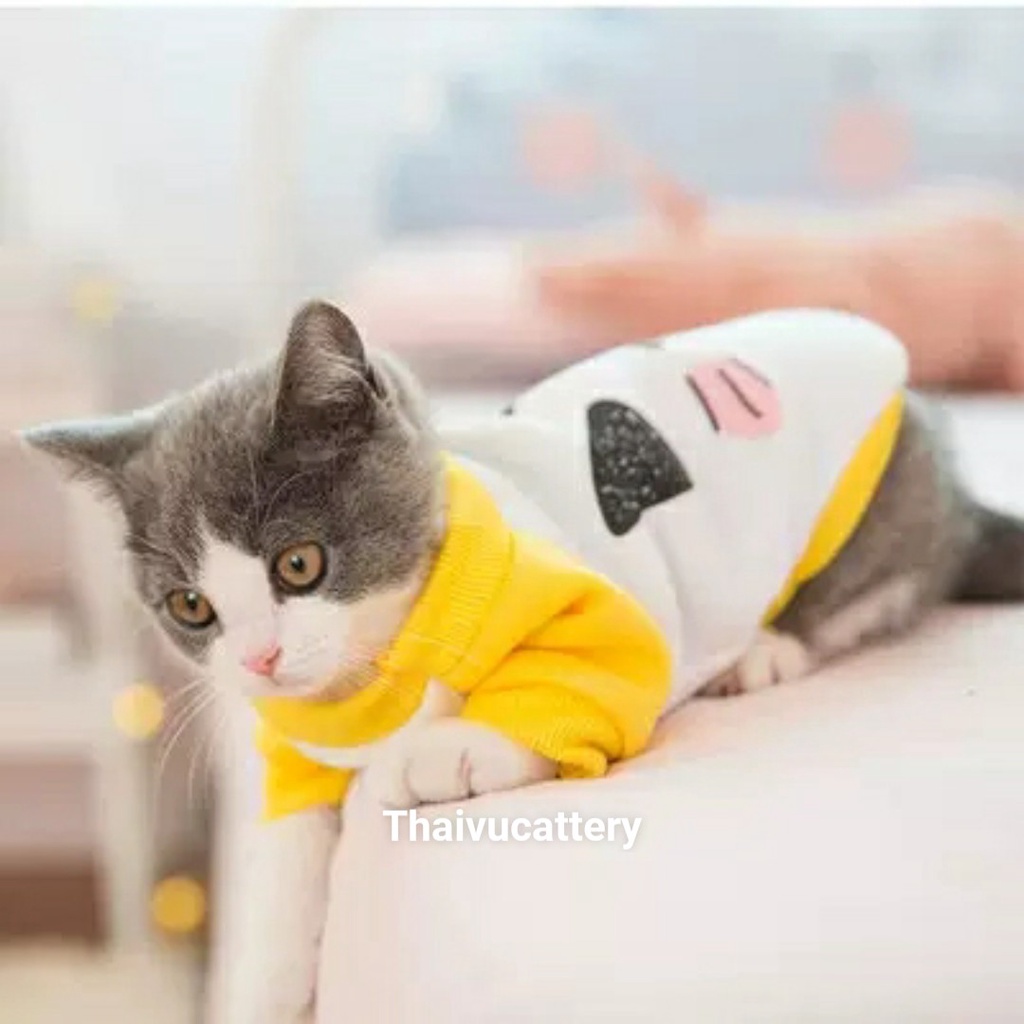Áo nỉ 2 chân cho chó mèo phối đuôi xoè cực ấm cho bé