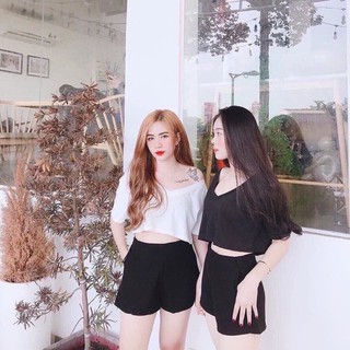 Áo coptop chất cotton bao đẹp