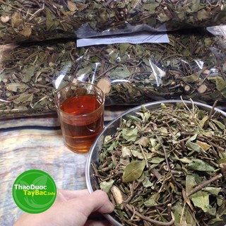 Bán Trà Dây Thìa Canh