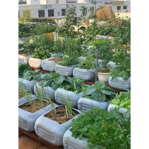 Phân Đạm Ure Phú Mỹ - Chuyên Rau Màu Hoa Cây Cảnh 1KG