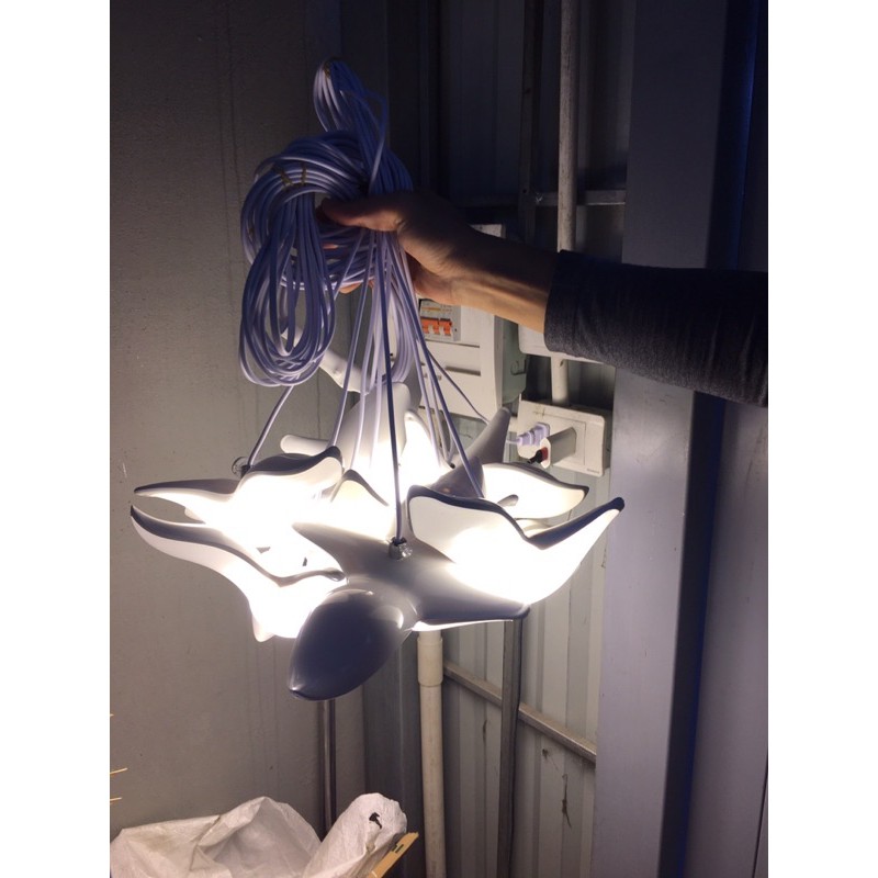 Đèn chim đục 10 con