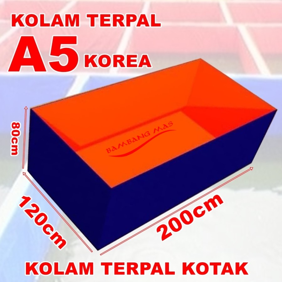 Hộp Đựng Cá Cỡ A5 200cm x 120cm x 80cm