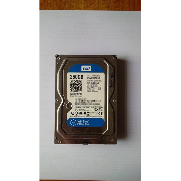 Ổ cứng PC WD 250G (16Mb Cache) Blue
